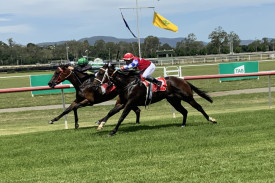 Neck-and-neck…almost. The Matthew Powell-ridden Evelyn Salt is about to finish 0.2 of a length ahead of the Cecily Eaton-ridden Spirit of Luck in race one at Kilcoy on Australia Day.