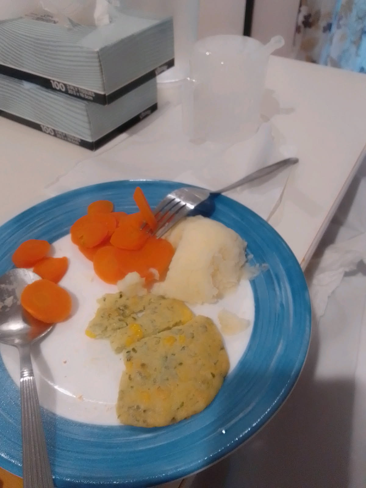 Dinner meal with alleged raw vegetables. Food photos: David Klaehn.