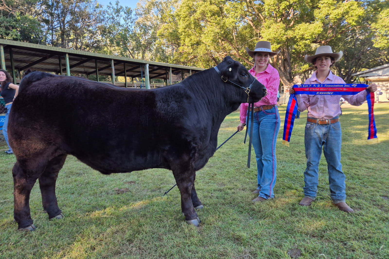 Cattle show stars: Clancie and Dusty Düll.