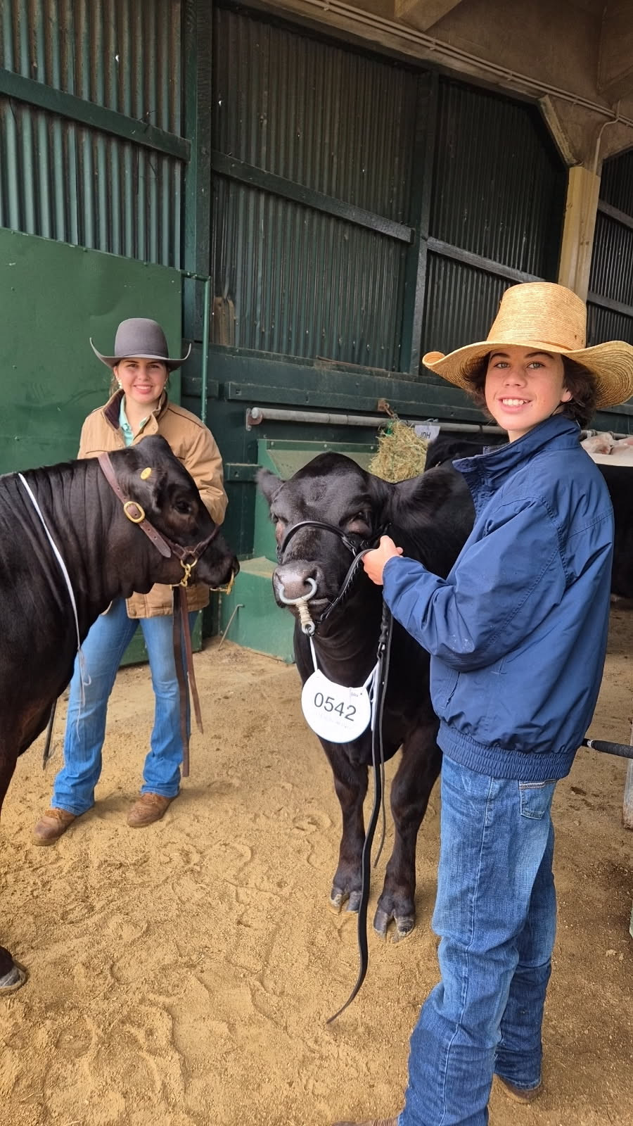 Clancie and Dusty with McAlpine Livestock Heifers before their limo class.