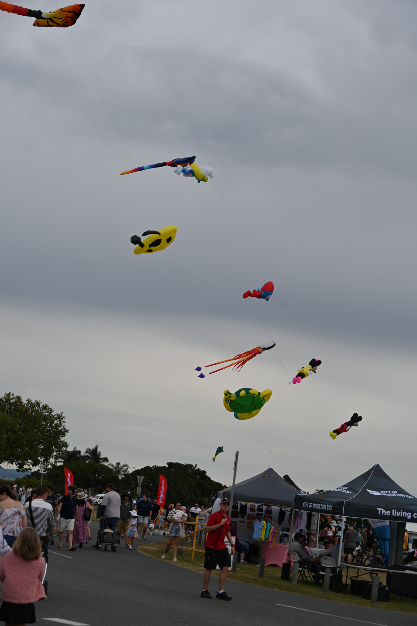 dsc_2819.JPG