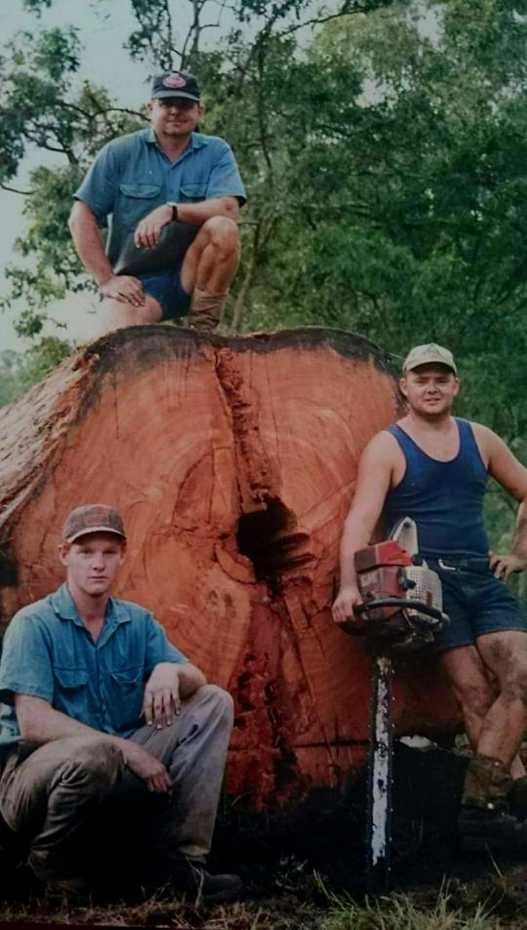 generational-loggers-photo-taken-end-of-the-90’s.jpeg