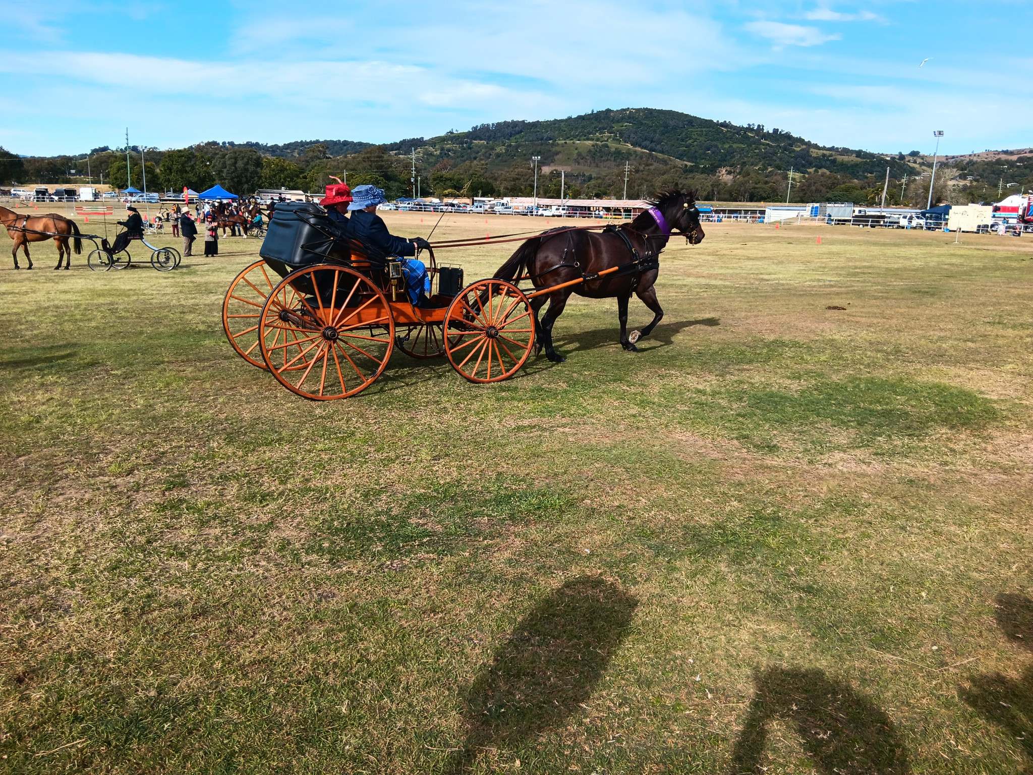 Horse and Carriage Class.