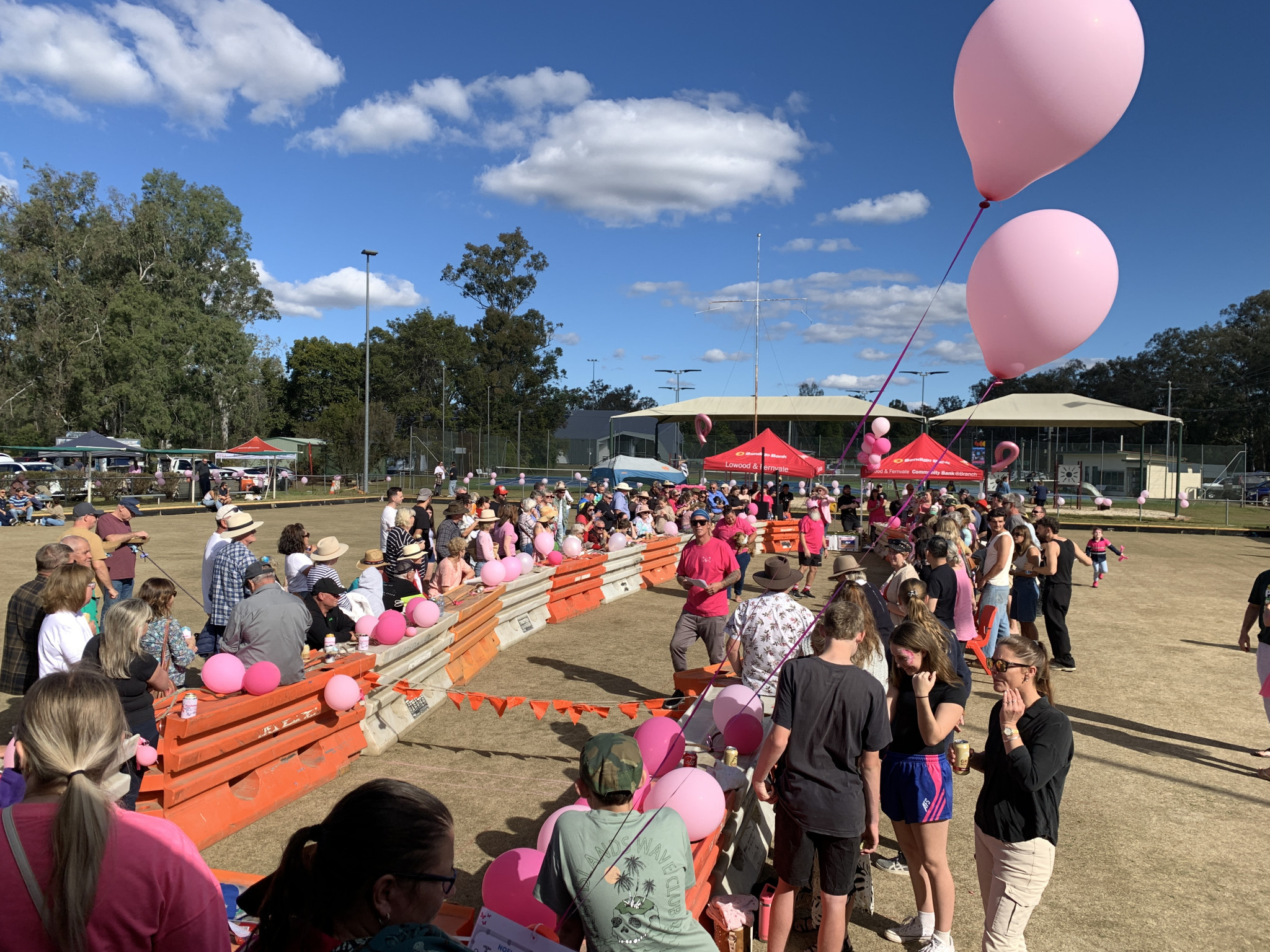Dachshund races at the Esk Bowls Club