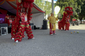 moreton_bay_lunar_new_year_13.jpeg