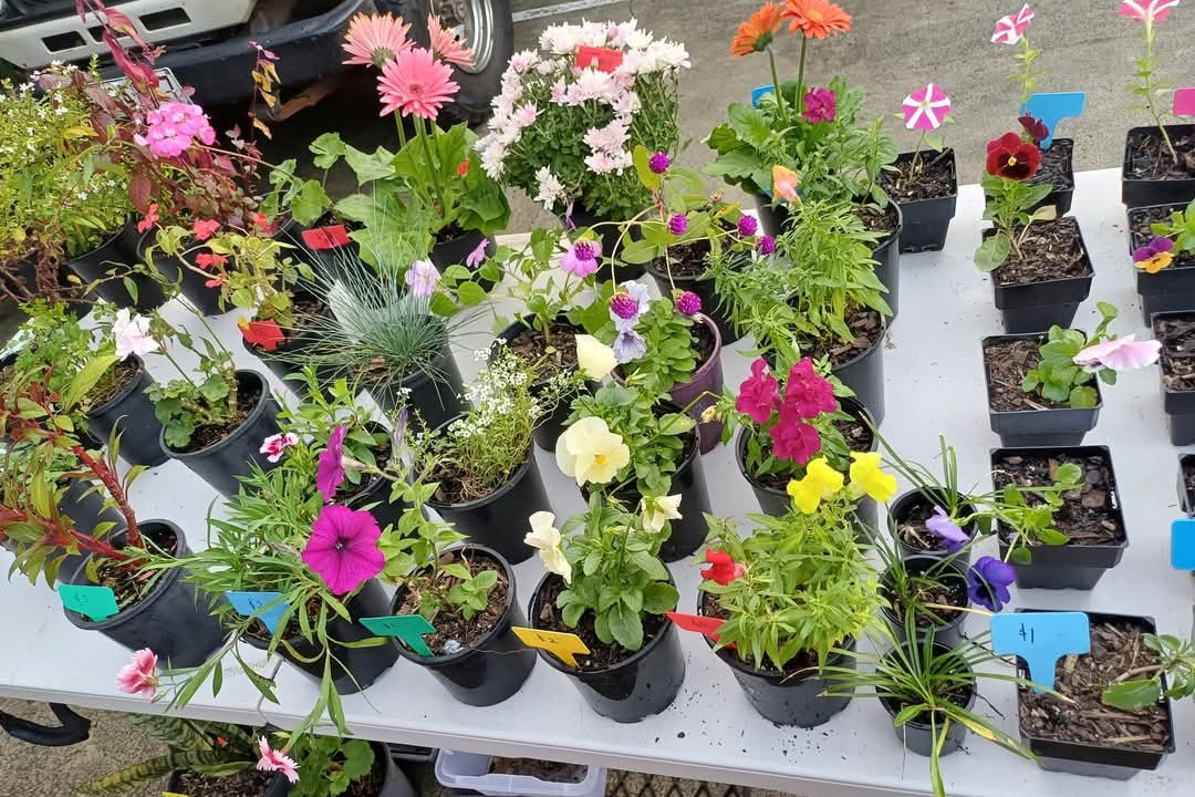 Flower stall.