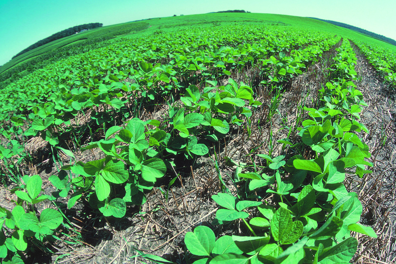 LNP sows the seeds of agriculture innovation - feature photo