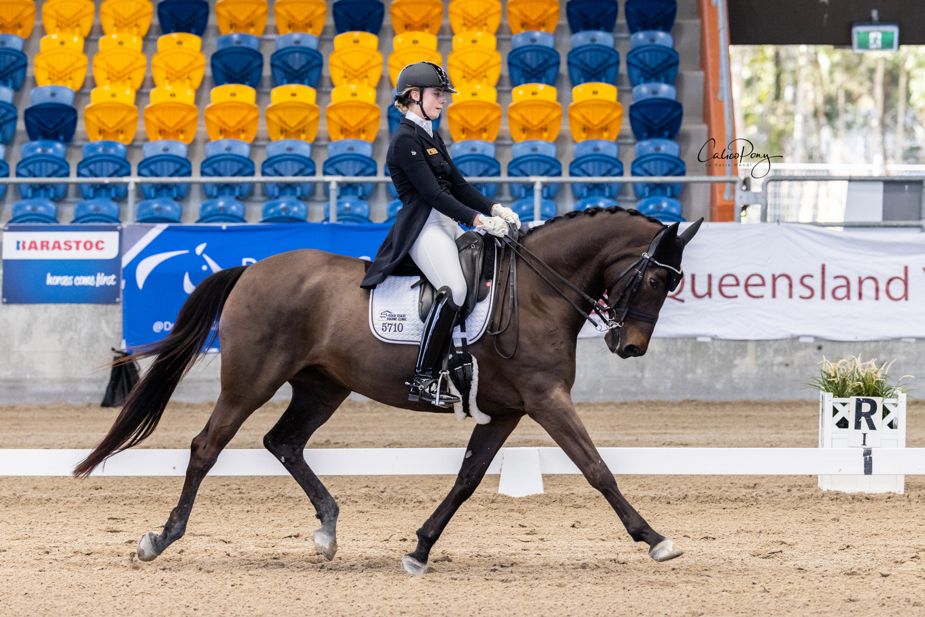 Dressage dreams come true for youth - feature photo