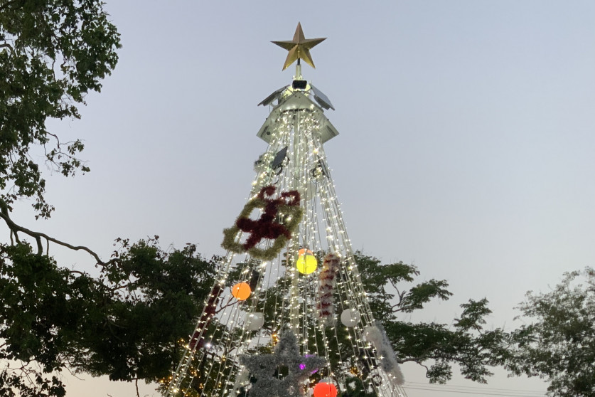 Christmas tree lights up Kilcoy - feature photo