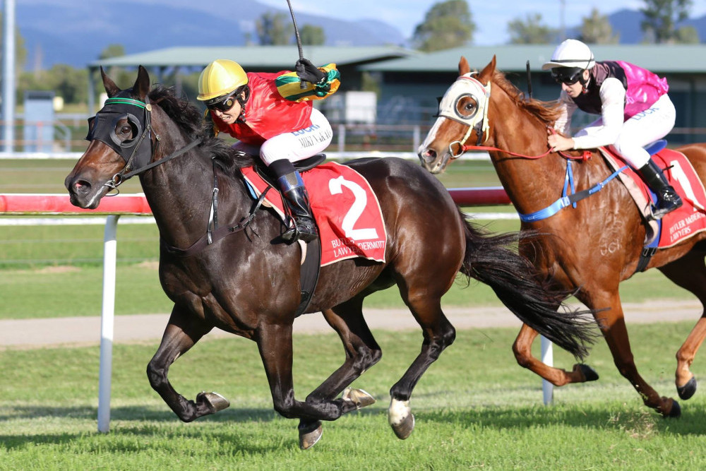 Big day planned for Kilcoy Race Club on Saturday - feature photo