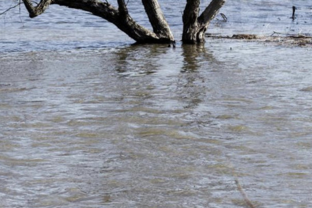 Flood warning for Stanley River - feature photo