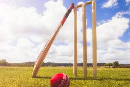Mixed results for Wamuran-Stanley River cricketers - feature photo