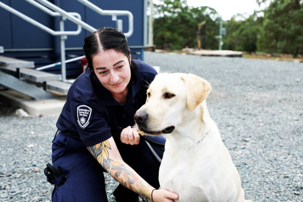 PADD dog Luka and handler Nicole foiled an attempt to introduce a significant amount of drugs and other prohibited items into Woodford Correctional Centre.