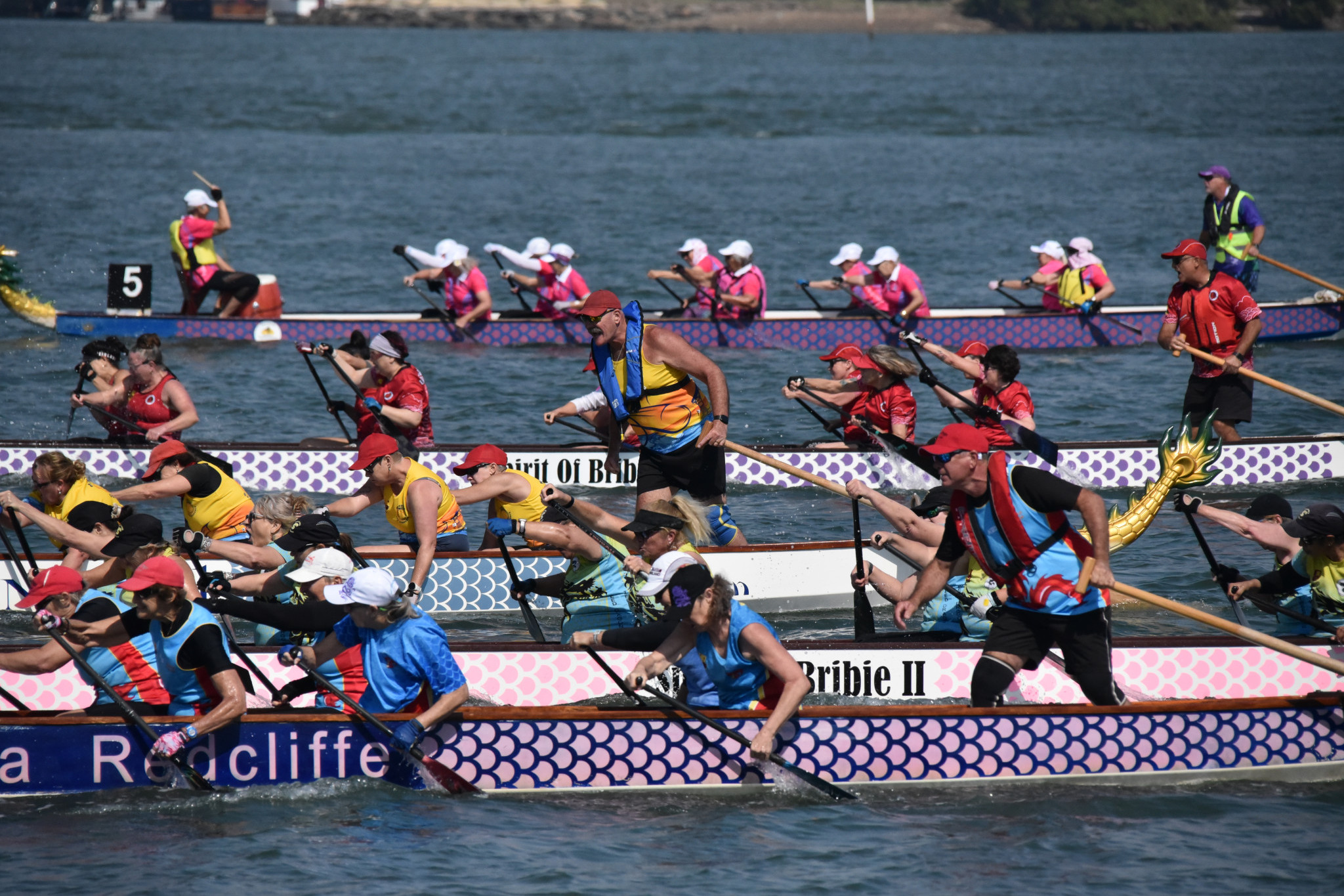 Dragons swim back for festival - feature photo