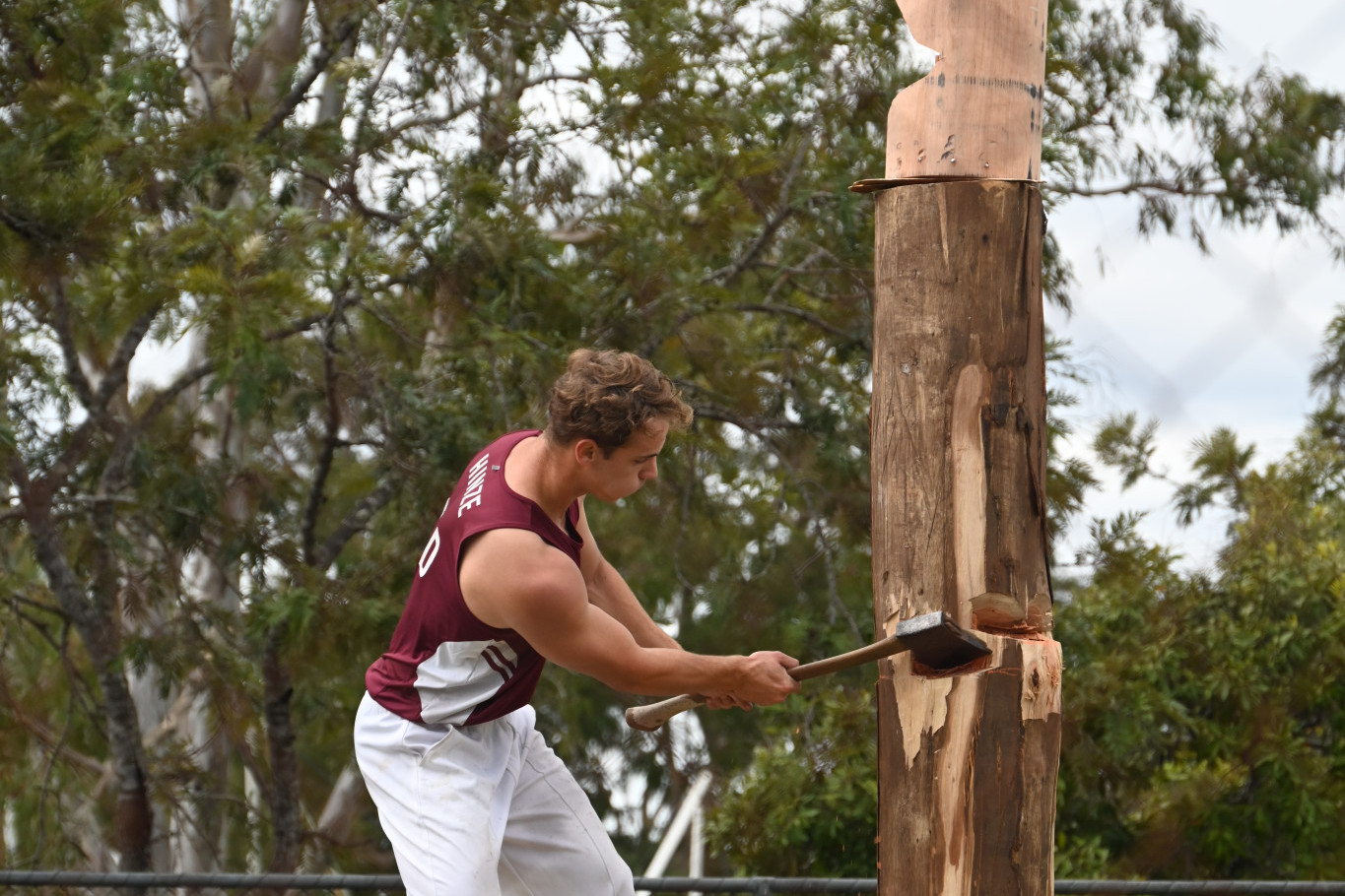 Tradition, thrills and family fun - feature photo