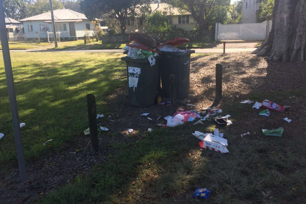 Enough of the rubbish, Woodford resident says - feature photo