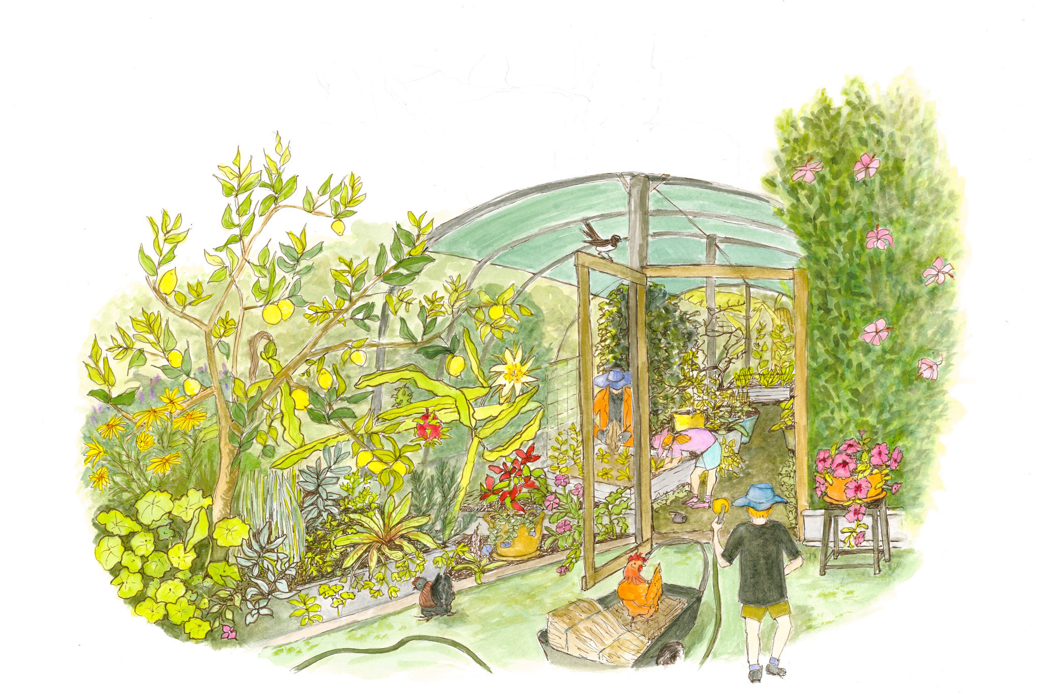 Somerset artist Jan Godfrey’s Garden Story.