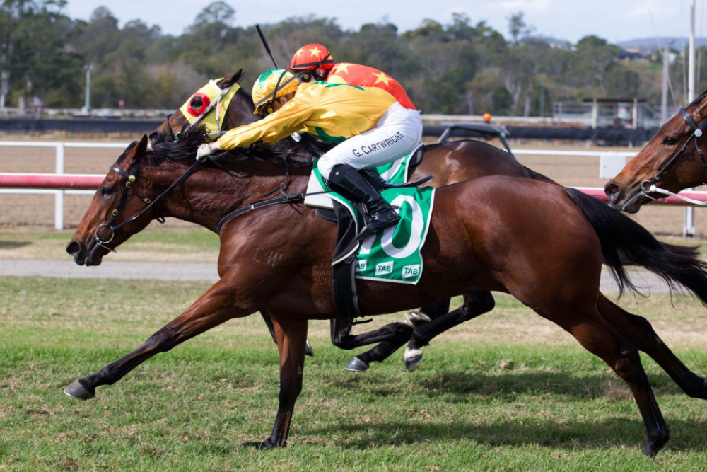 The Georgina Cartwright-ridden Best Song is about to win race four by a mere 0.2 of a length at the Sensational Sunday race meet in Kilcoy. Photo credit: Ross Stevenson.