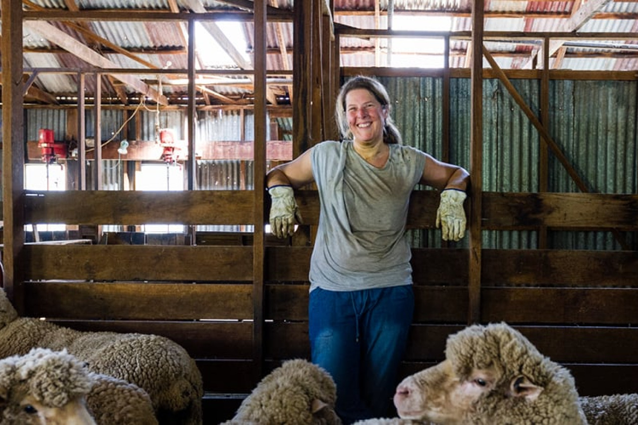 ‘Cautious optimism’ for Agricultural trade conditions - feature photo