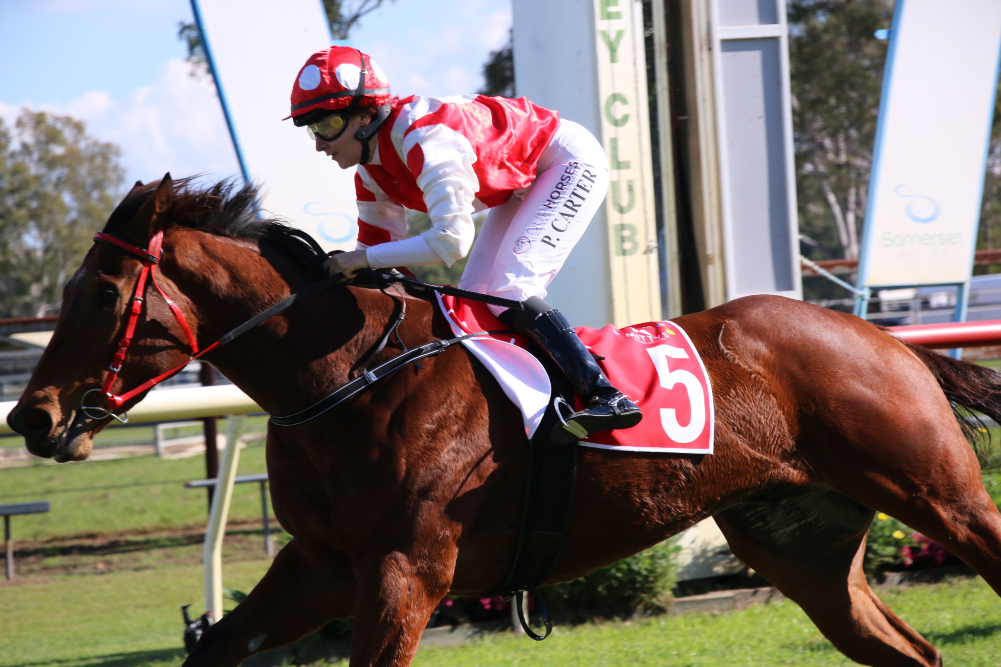 The Perrie Carter-ridden Seeyou Later hits the winning post in race four.