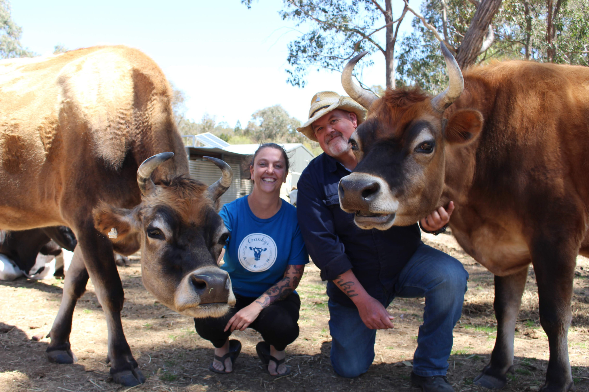 Brett and Natalie Stevenson with some of their rescue animals.