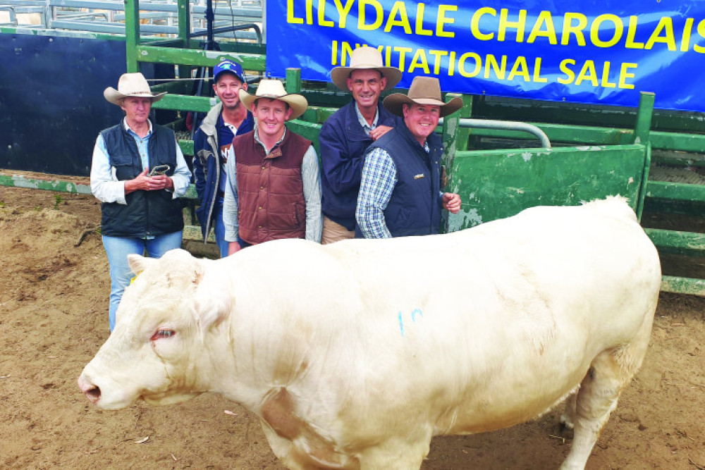 The top priced bull from Bird Hill Charolais Stud, Blenheim sold for $15,000 at the Lilydale Invitation Charolais Sale at Toogoolawah on Saturday, July 15 and was purchased by Eskdale Station. From left, Janice Spreadborough (Bird Hill Charolais Stud), Eddie Carlton (Eskdale), Jack Fogg (Shepherdson and Boyd), Garth Weatherall (Boyd, O’Brien and Bartholomew) and Ben Fogg (Eskdale).