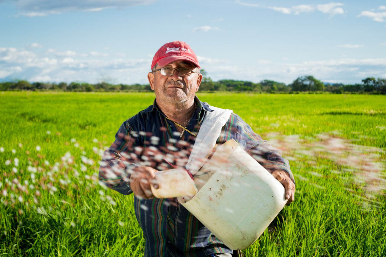 Help farmers stop a niggle from becoming a pain in the neck - feature photo