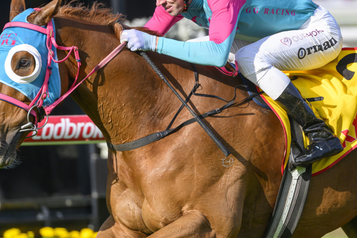Picture Racing Queensland.