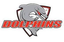 Community calls for Moreton Bay to be part of the Dolphins NRL team name