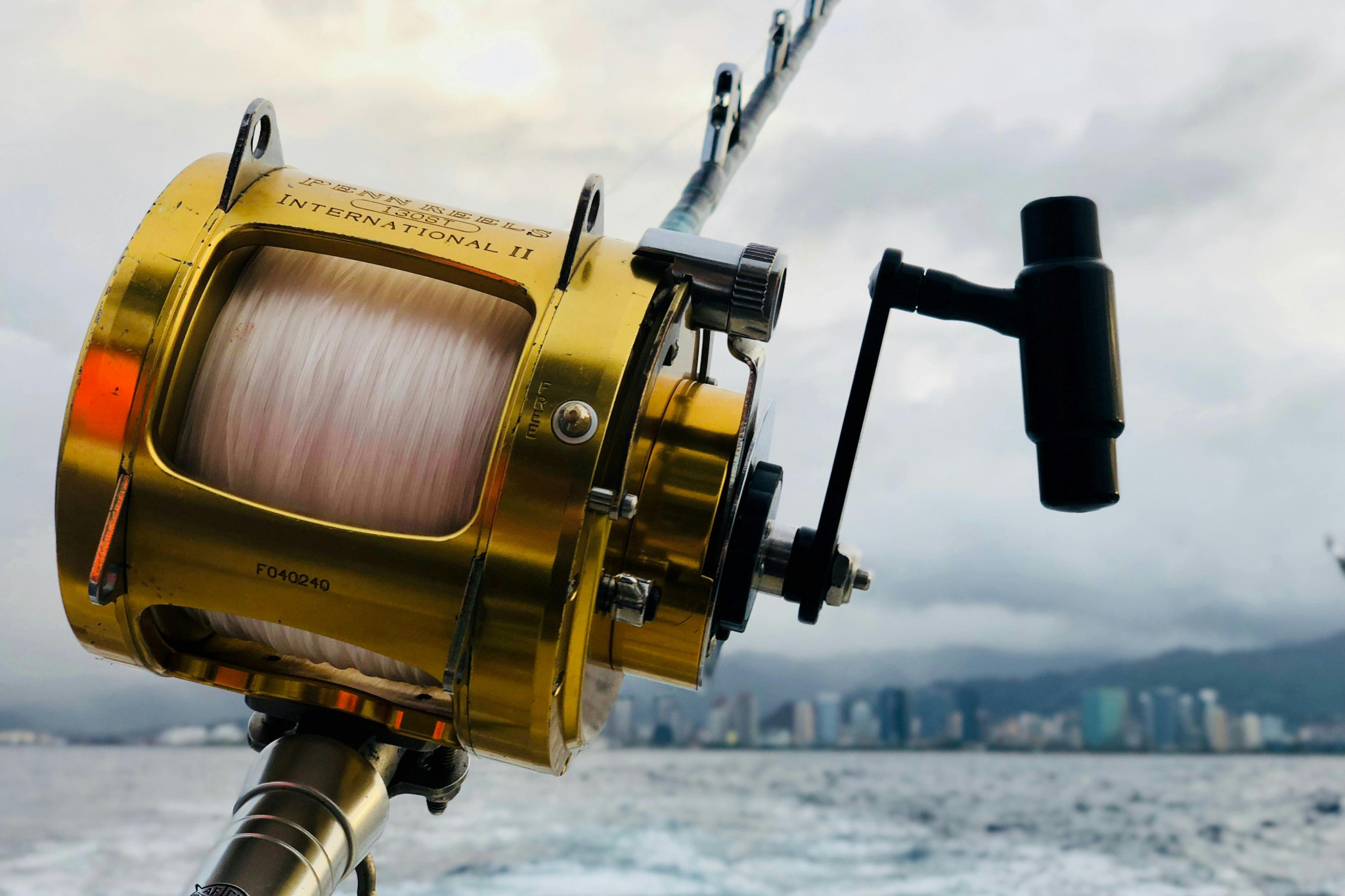 Commercial fishing back in business - feature photo