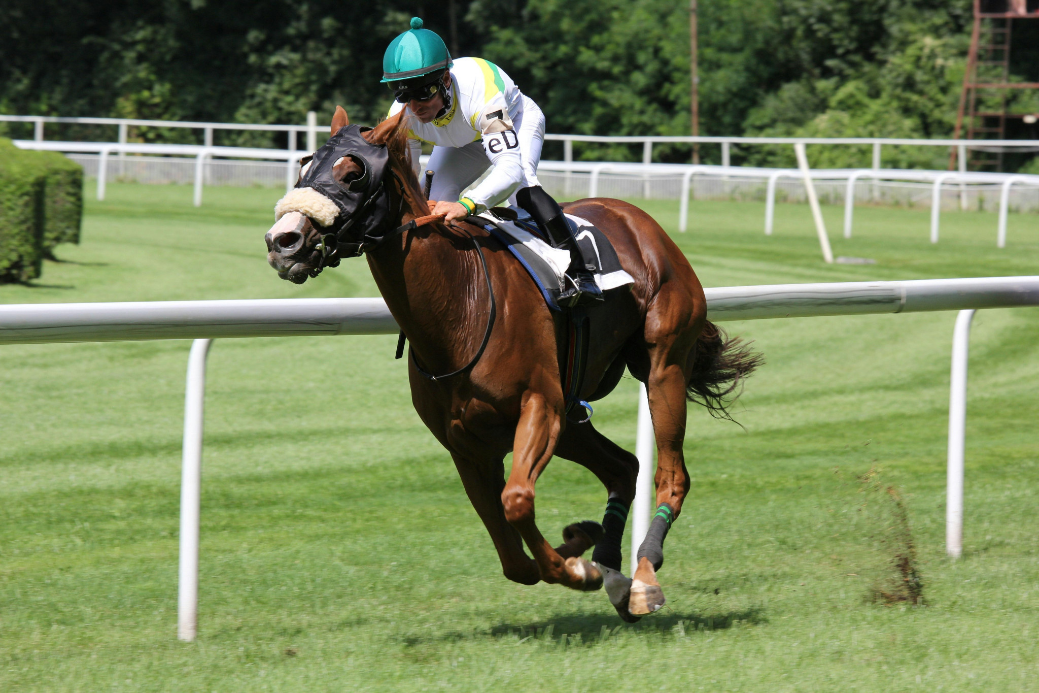 Racing helps QLD economy - feature photo