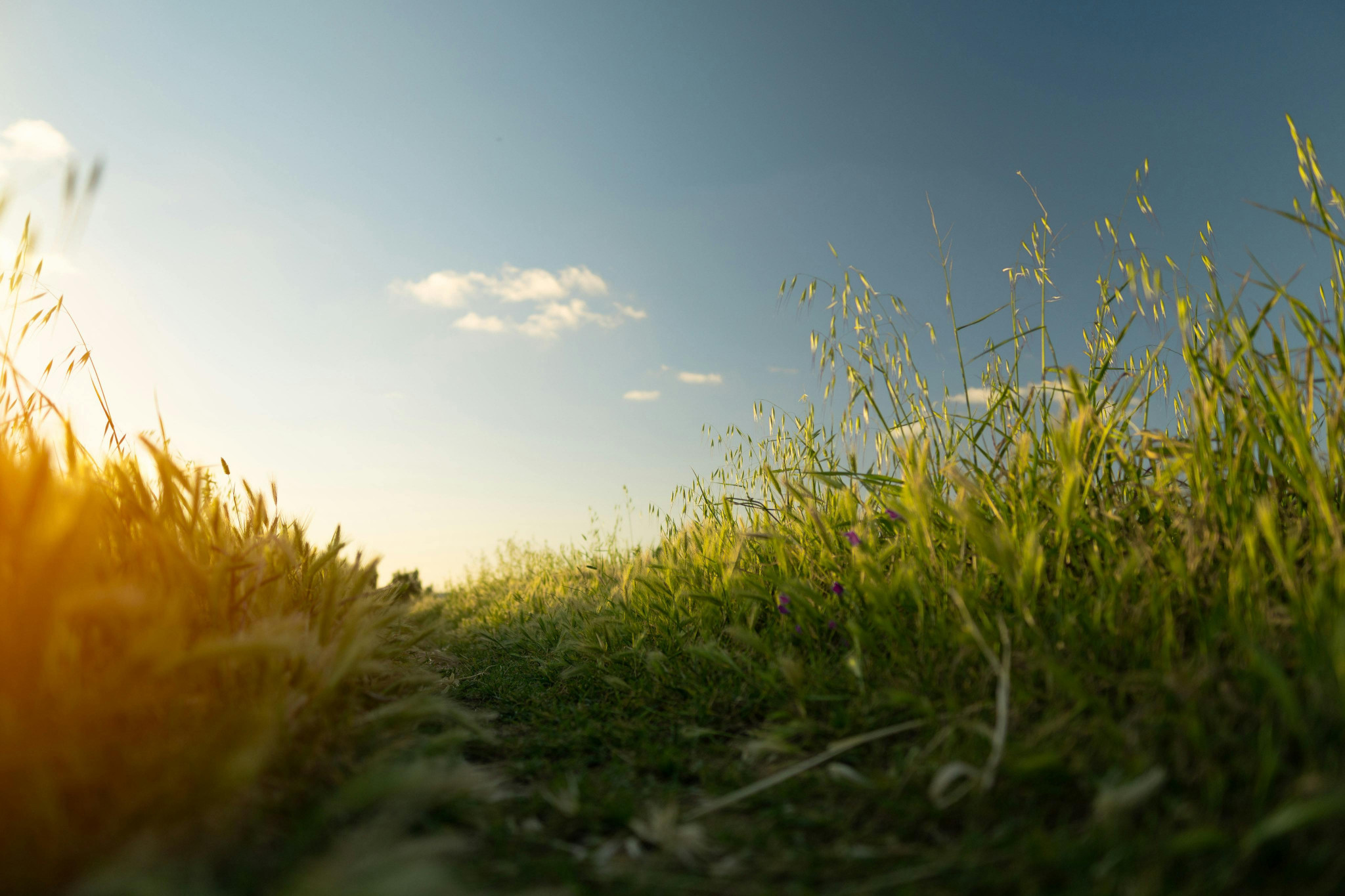 New leadership to drive Qld’s rural support agency forward - feature photo