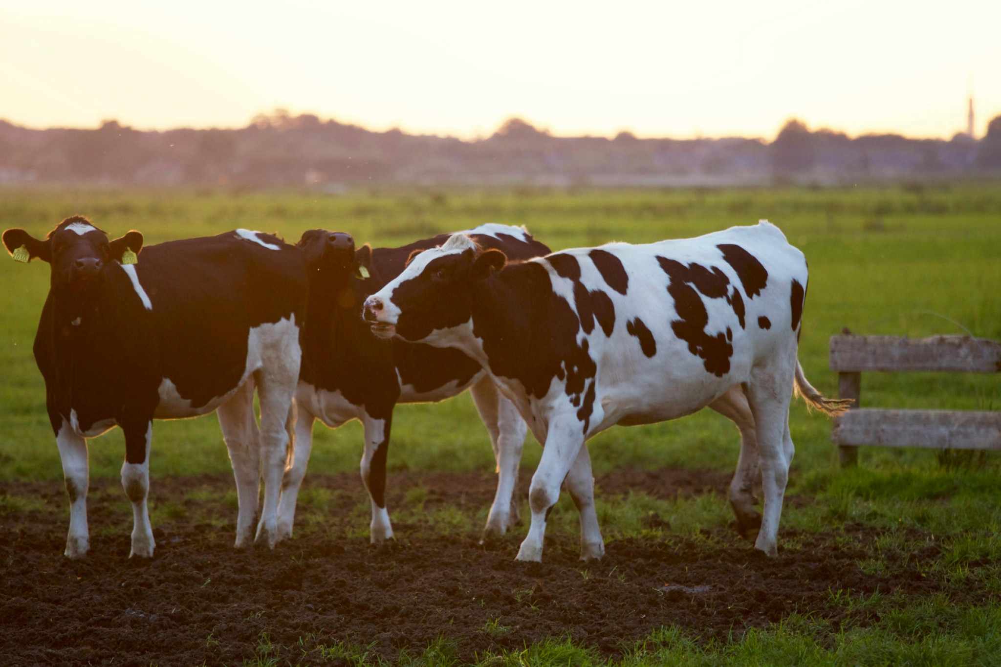 Farmers mental health plunges - feature photo