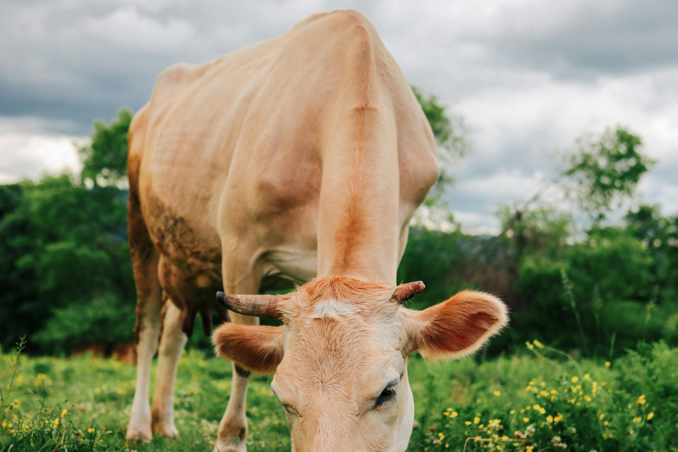 Agribusiness insights into 2025 start - feature photo