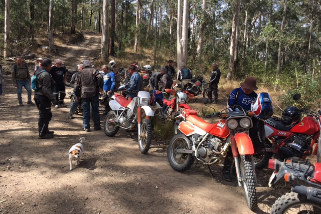 Riders and their bikes at the HMCCQ Pure Earth Rally.