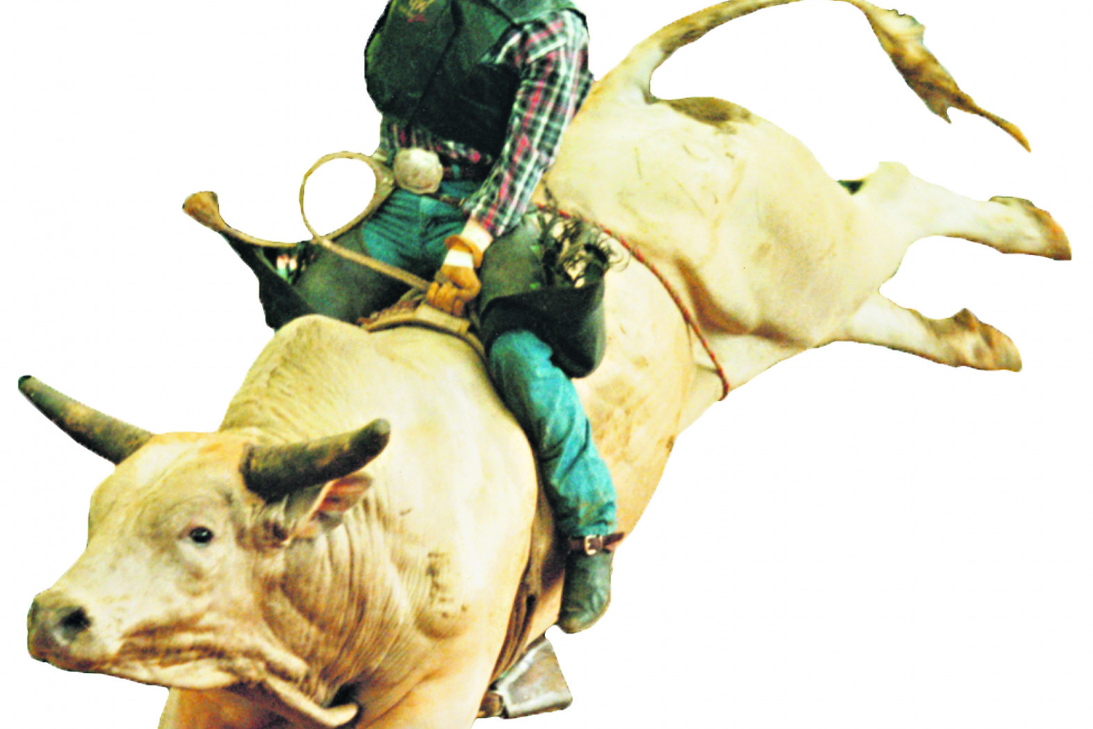 Toogooolawah Rodeo ready to rumble this Saturday - feature photo