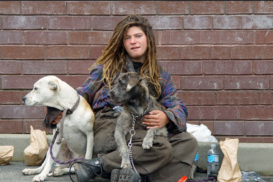 RSPCA and Animal Welfare QLD say homeless people with pets rely on animals. Photo: Franco Folini.