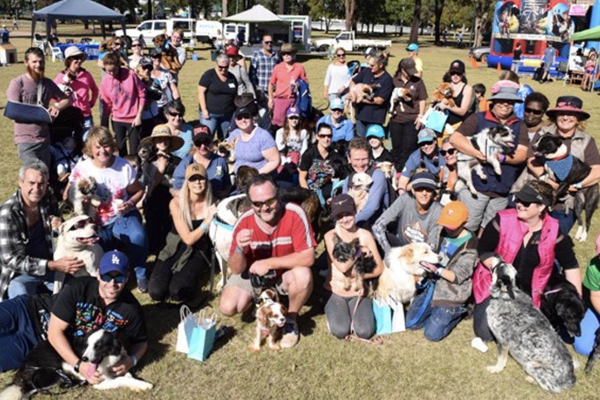 2018 Million Paws Walk in Kingaroy