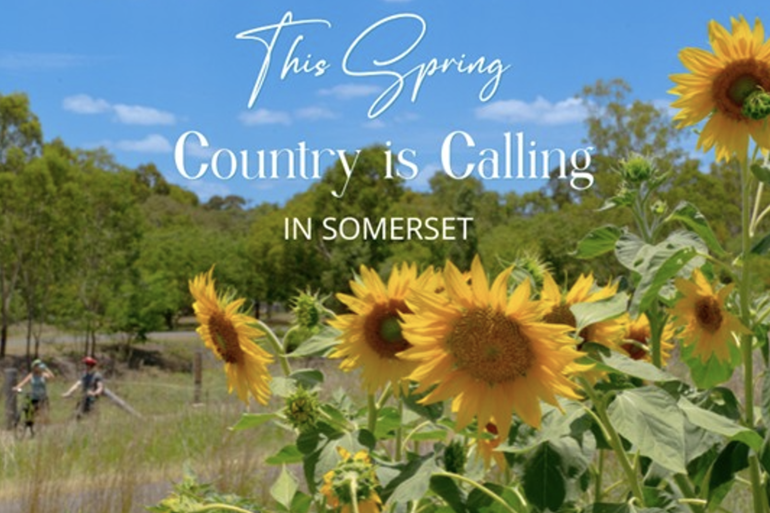Explore Somerset spring - feature photo