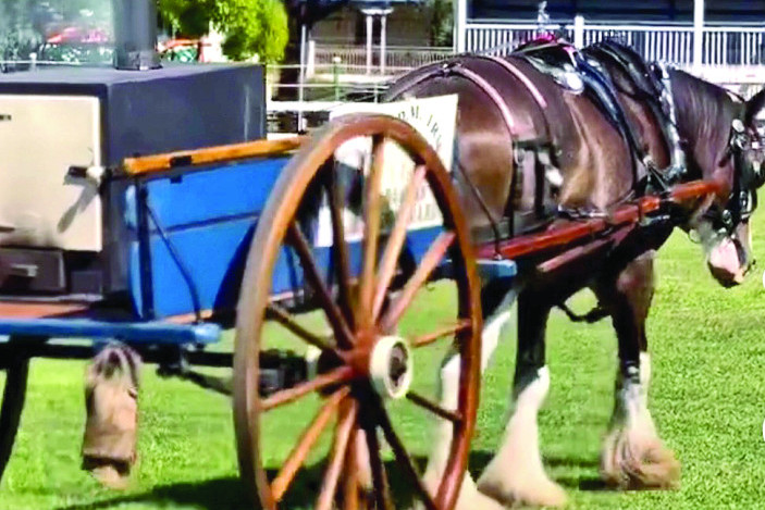A horse drawn pie cart selling pies – the old school way – is set to be a feature at the upcoming Stonehouse open days in Moore.