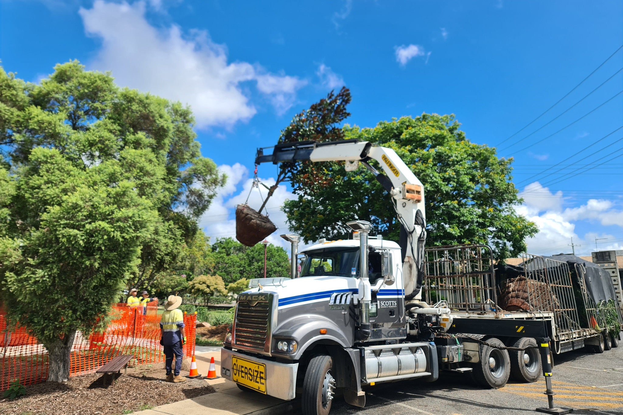 Tree-mendous gloss in Kilcoy - feature photo