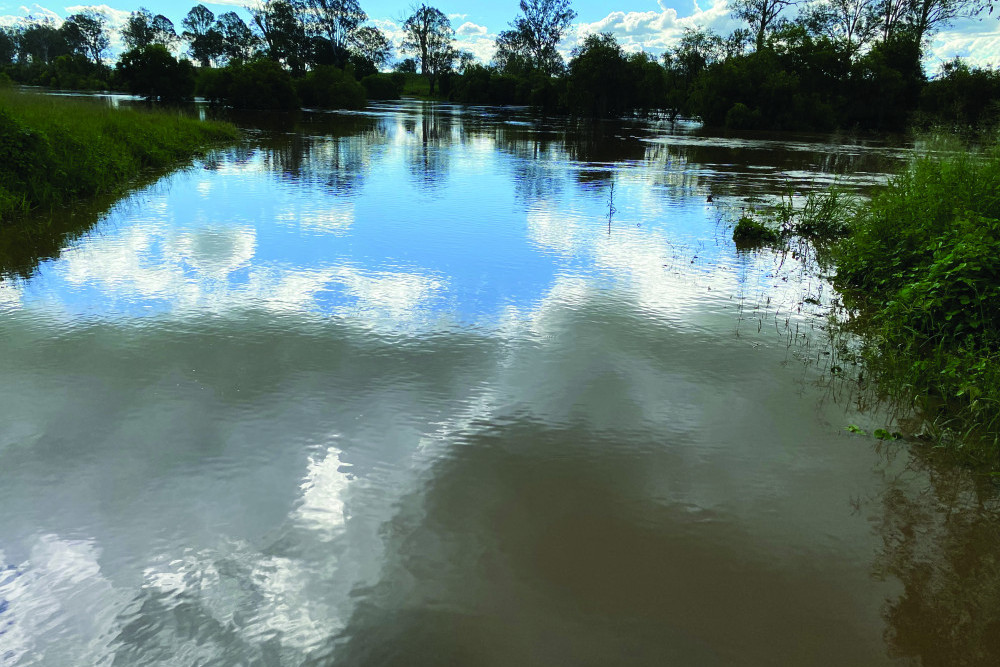 The Brisbane River has broken its banks at Twin Bridges, near Fernvale,