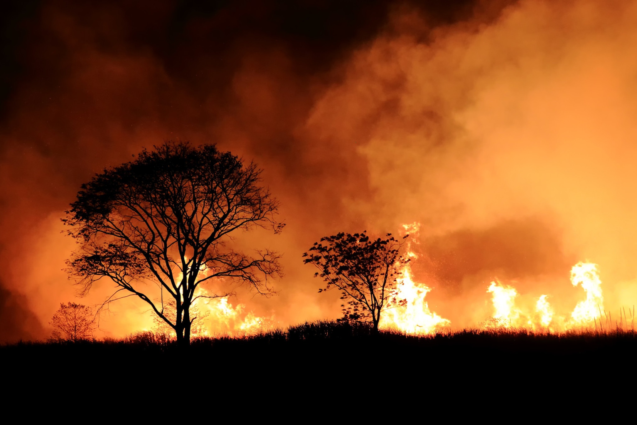 Queenslanders urged to act ahead of bushfire season - feature photo