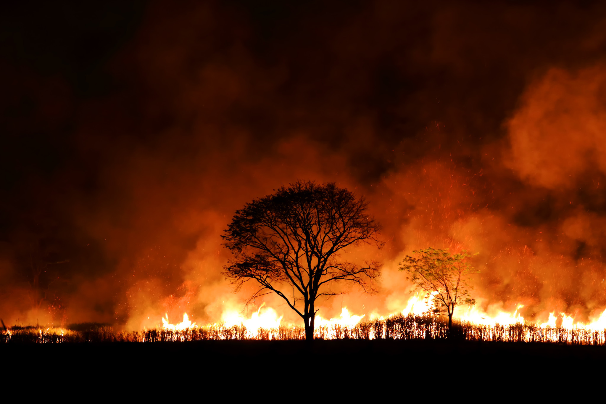 Satellite deal delivers real-time data intelligence to help combat bushfires - feature photo