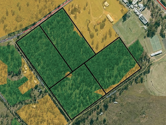 QLD Government Globe map showing core koala habitat area (green) and koala habitat restoration area (yellow). Black lines outline proposed development site.