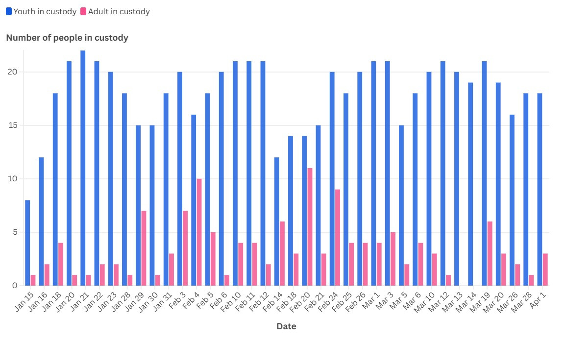 Graph 1 - Children and adults in custody at Caboolture Watch House per day between January and March. Pink - Adults; Blue - Children