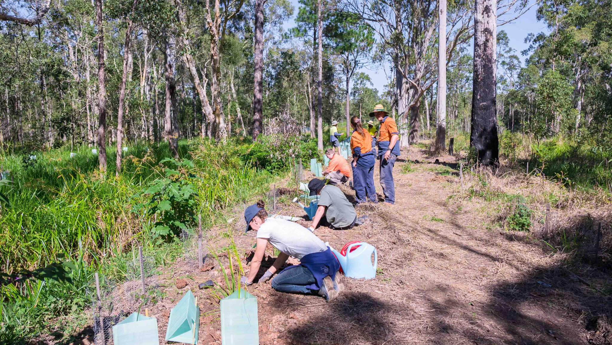 volunteers-planting-folc.jpg