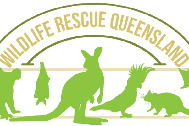 Wildlife Rescue Queensland receives $160,000 to continue heroic work - feature photo
